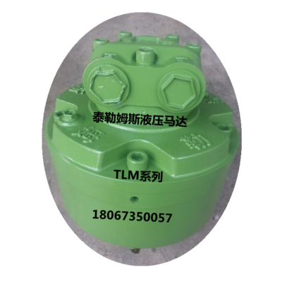 YLM16-3000ID40泰勒姆斯外五星液压马达